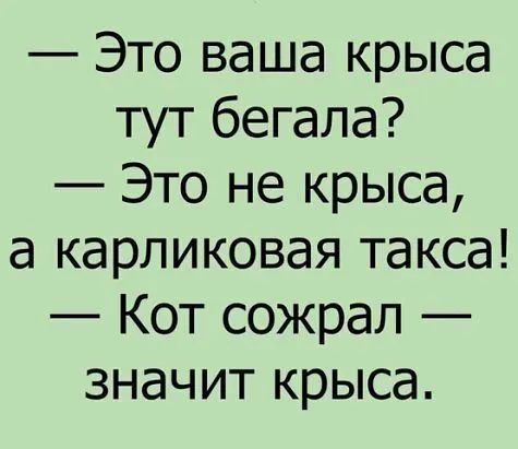 Это ваша крыса тут бегала Это не крыса а карликовая такса Кот сожрал значит крыса