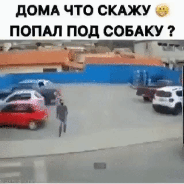 дОМА ЧТО СКАЖУ ПОПАЛ ПОД СОБАКУ н чт тян