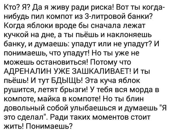 Кто Я Да я живу ради риска Вот ты когда нибудь пип компот из з литровой банки Когда яблоки вроде бы сначала лежат кучкой на дне а ты пьёшь и наклоняешь банку и думаешь упадут или не упадут И понимаешь что упадут Но ты уже не можешь остановиться Потому что АДРЕНАЛИН УЖЕ ЗАШКАПИВАЕТ И ты пьёшь И тут БДЫЩЬ Эта куча яблок рушится летят брызги У тебя вся морда в компоте майка в компоте Но ты блин довол