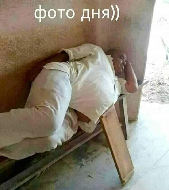 фото дня
