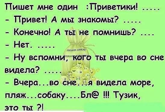 Пишет мне один Приветики Привет А мы знакомы Конечно А ты не помнишь Нет Ну вспомни тготь1 вчера во сне видела Вчераво і видела море пляж собску Бл Тузик это ты
