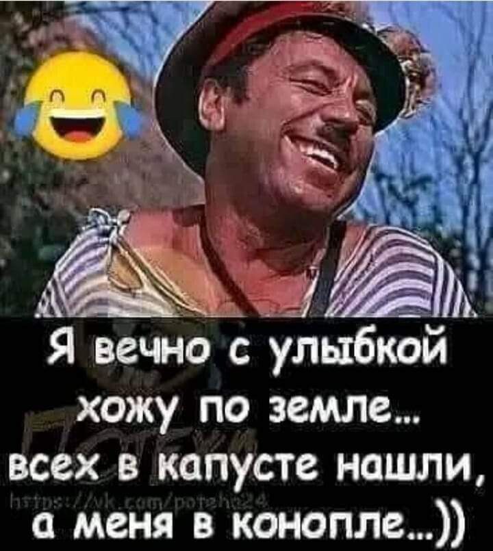 а Я вечно с улыбкой хожу по земле всех в капусте нашли меня в конопле
