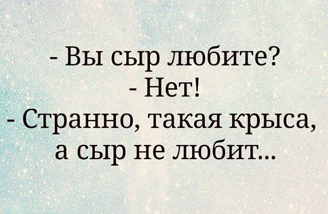 Вы сыр любите Нет Странно такая крыса а сыр не любит