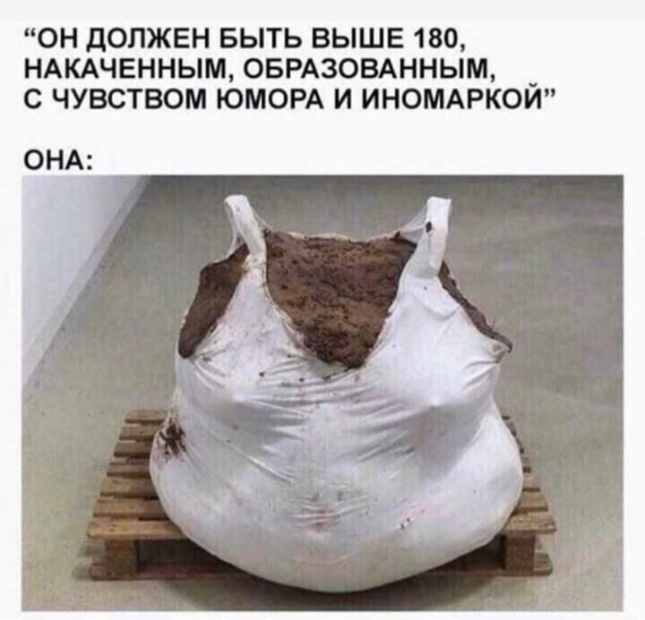 ОН дОПЖЕН БЫТЬ ВЫШЕ 180 НАКАЧЕННЫМОБРАЗОВАННЬМ _ С ЧУВСТБОМ ЮМОРА И ИНОМАРКОИ ОНА
