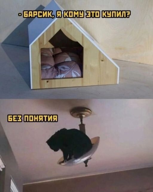 ПОНЯТИЯ