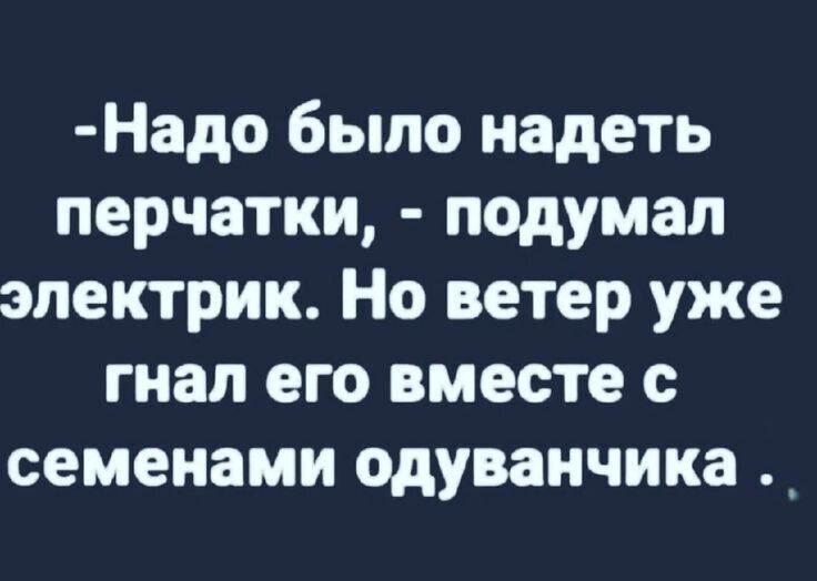 Надо было надеть перчатки подумал электрик Но ветер уже гнал его вместе с семенами одуванчика _