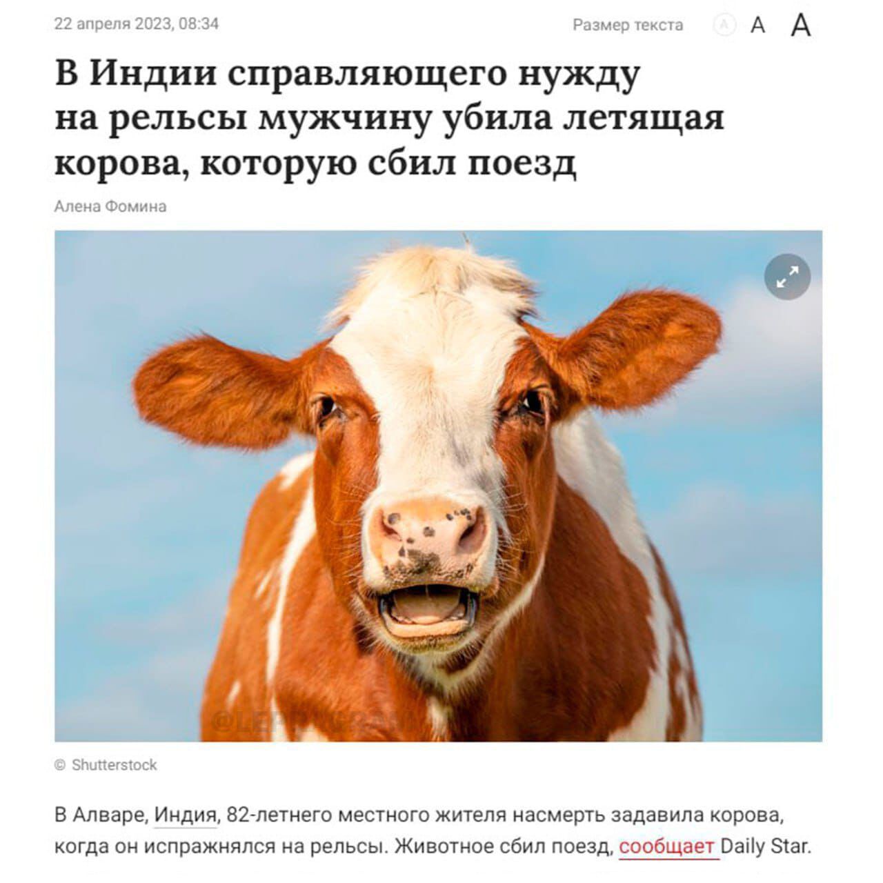 А В Индии справляющего нужду на рельсы мужчину убила летящая корова которую сбил поезд в и в п лсшьзвпааипдхпвпвэ кипапнутрдинпспиэгепькы Жипсчнвпкби на табытеч ваня
