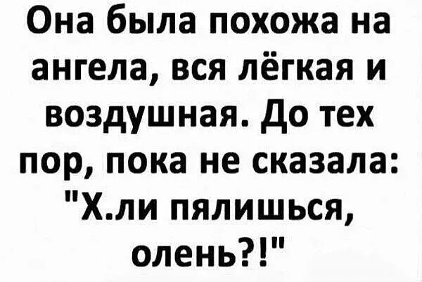 Она была похожа на ангела вся лёгкая и воздушная до тех пор пока не сказала Хли пялишься олень