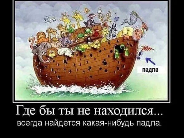 г Где бЫ ТЫ не находился всегда найдется какая нибудь падпа