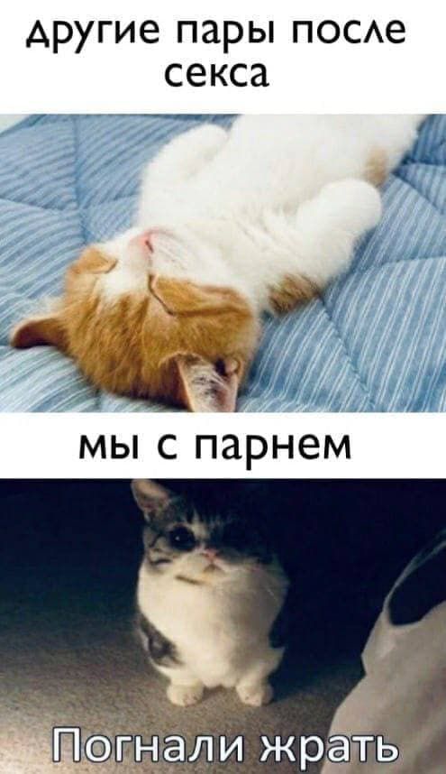 другие пары ПОСАе секса