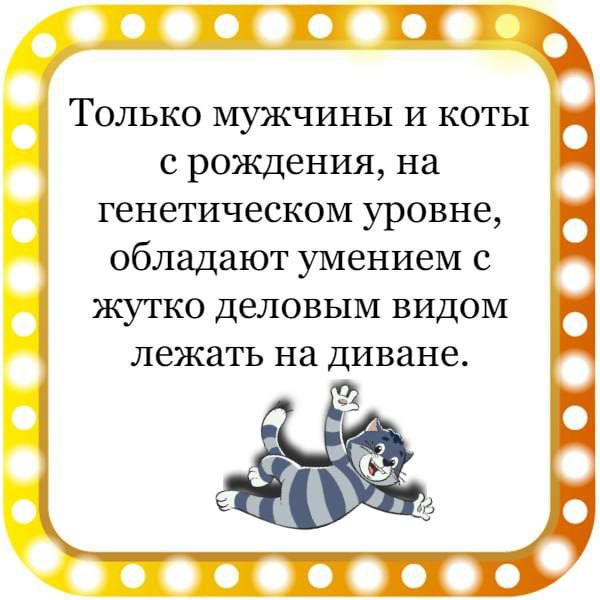 Только мужчины и коты с рождения на генетическом уровне обладают умением с жутко деловым видом лежать на диване