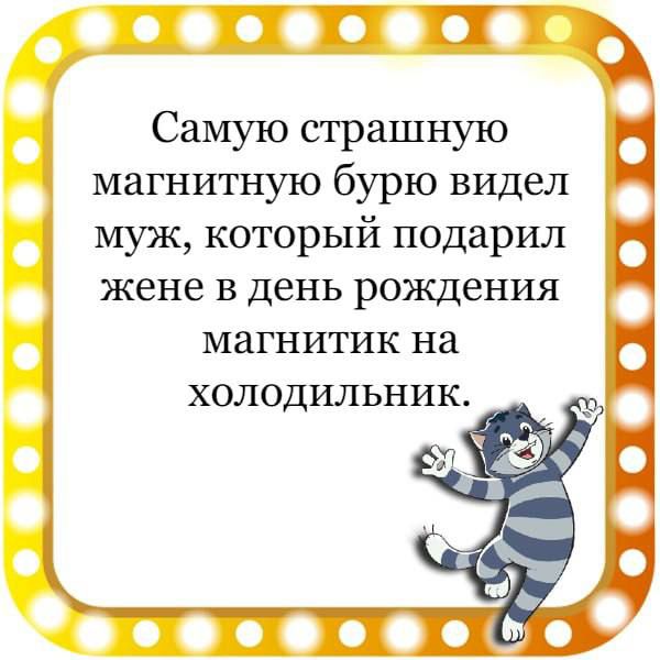 Самую страшную магнитную бурю видел муж который подарил жене в день рождения магнитик на холодильник