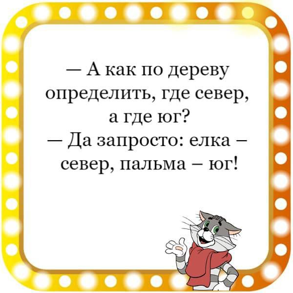 А как по дереву определить где север а где юг Да запросто елка север пальма ЮГ