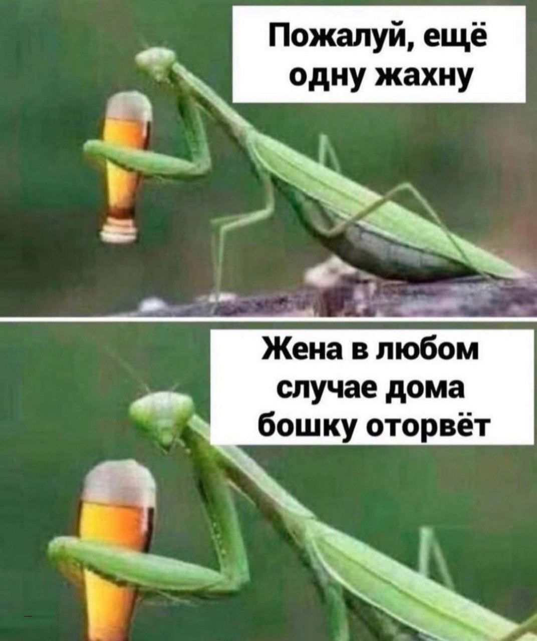одну жахиу Жена в любом случае дома бошку оторвёт