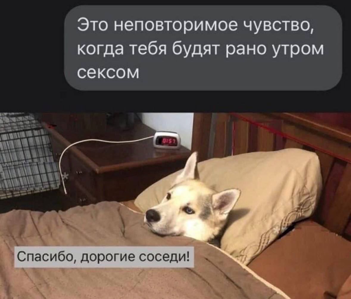Это неповторимое чувство когда тебя будят рано утром сексом сибе дорогие сосед 1