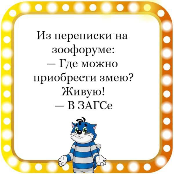 оссос Из переписки на зоофоруме Где можно приобрести змею