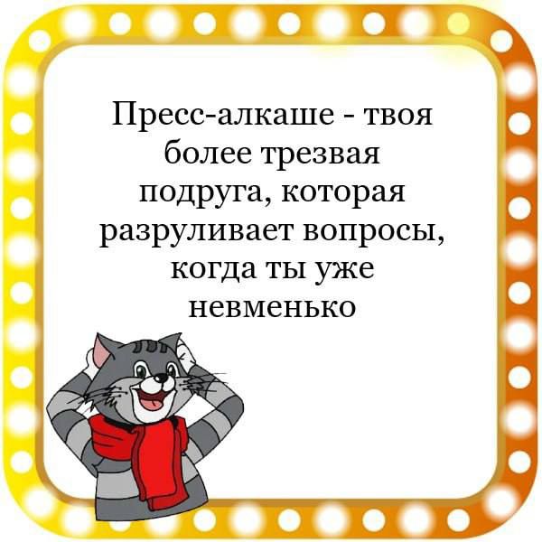 ППТЧ Пресс алкаше твоя более трезвая подруга которая разруливает вопросы когда ты уже невменько