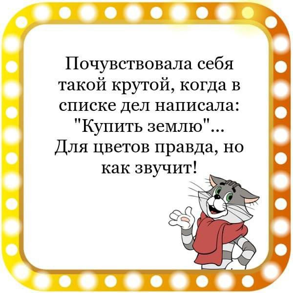 П Почувствовала себя такой крутой когда в списке дел написала Купить землю Для цветов правда но как звучит