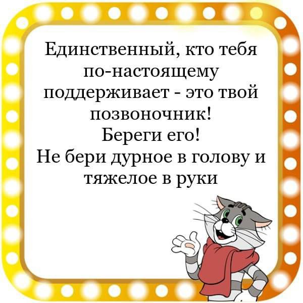 ёпт Единственный кто тебя понастоящему поддерживает это твой позвоночник Береги его Не бери дурное в голову и тяжелое в руки