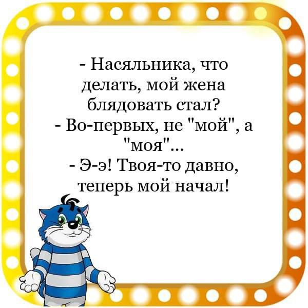 Насяльника что делать мой жена блядовать стал Вопервых не мой а Моя Э э Твоя то давно теперь мой начал