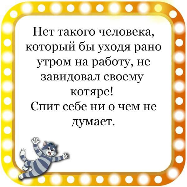 Нет такого человека который бы уходя рано утром на работу не завидовал своему котяре Спит себе ни о чем не