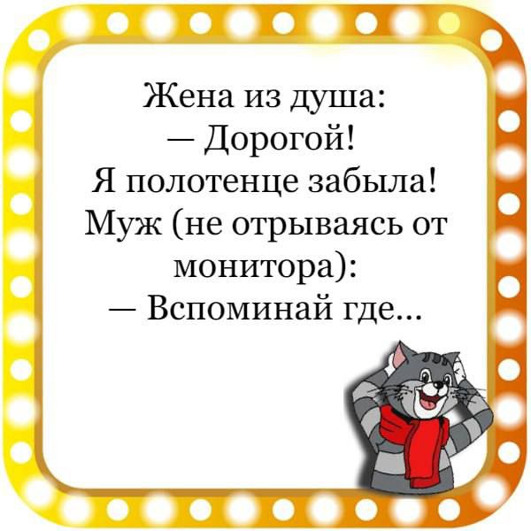 ВПТ Жена из душа Дорогой Я полотенце забыла Муж не отрываясь от монитора Вспоминай где