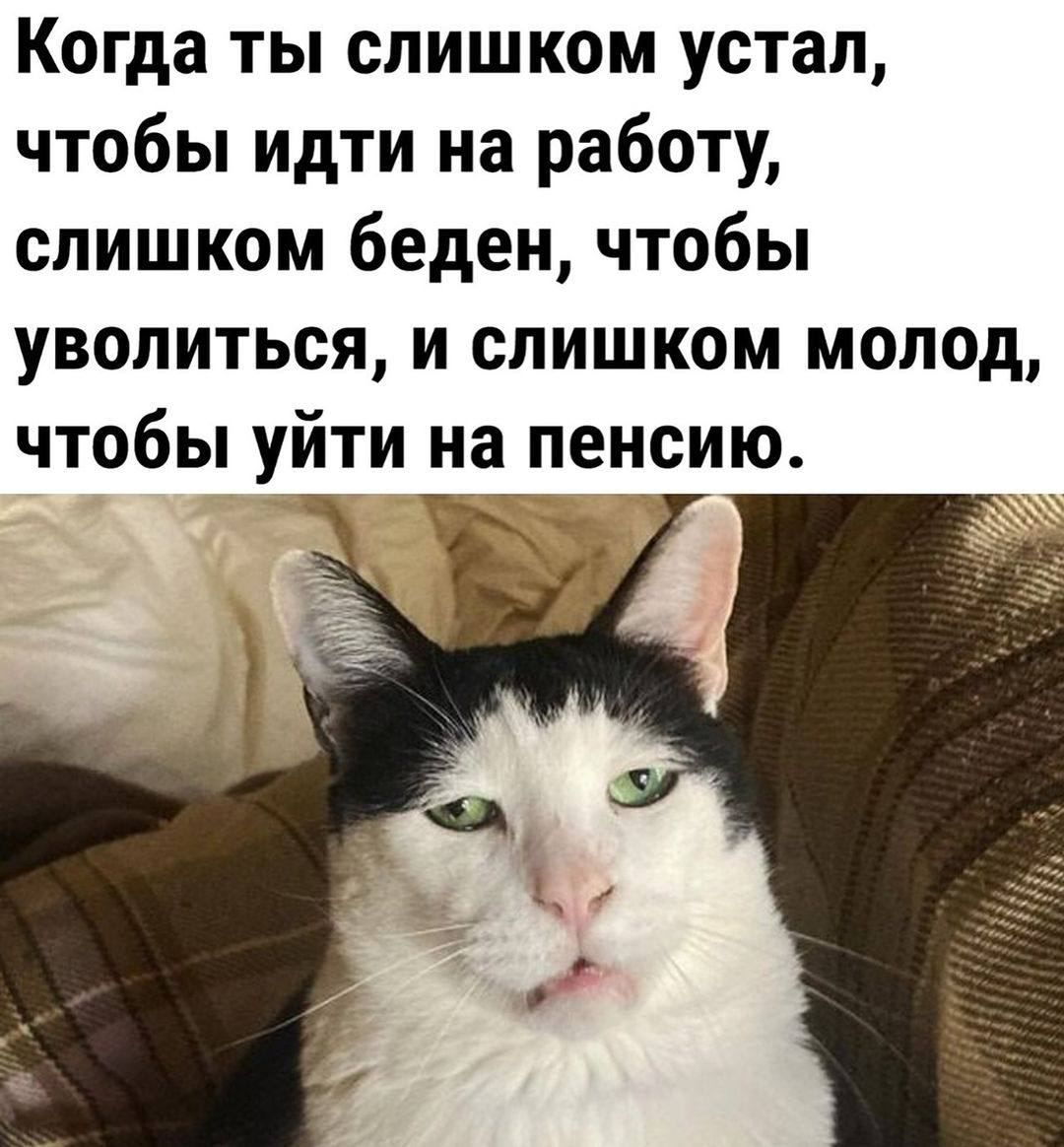 Когда ты слишком устал чтобы идти на работу слишком беден чтобы уволиться и слишком молод чтобы уйти на пенсию