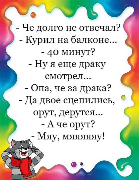 Че долго не отвечал Курил на балконе 40 минут Ну Я еще драку смотрел Опа че за драка Да двое сцепились орут дерутся А че орут Мяу мяяяяяу