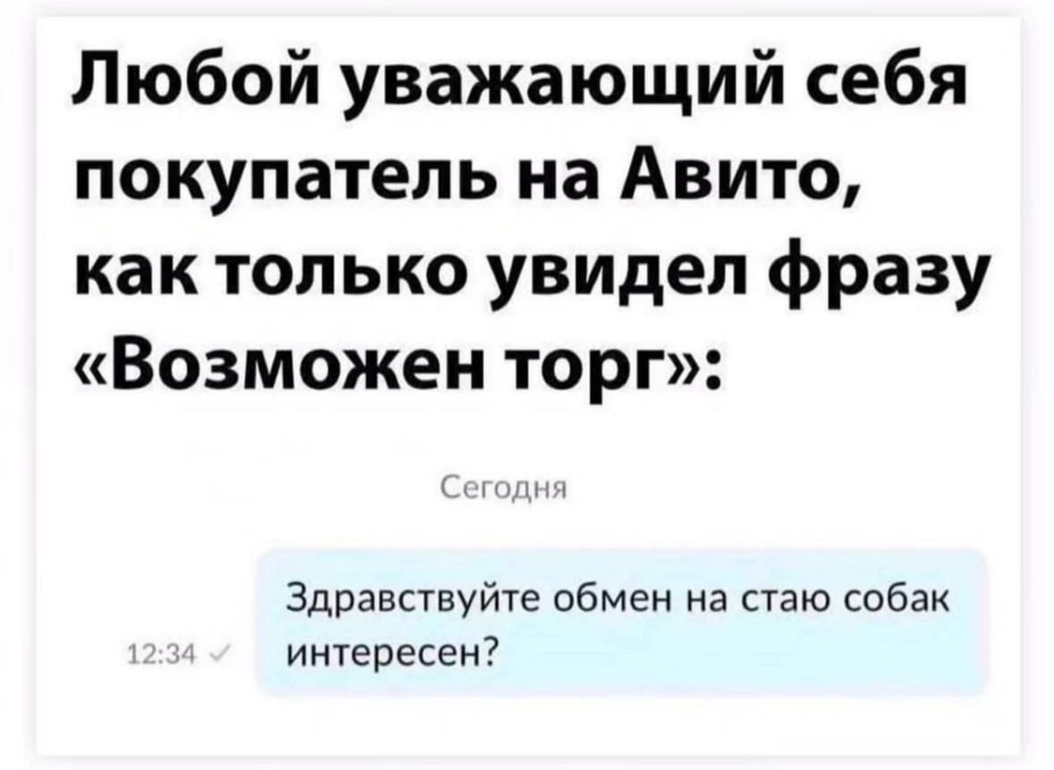 Любой уважающий себя покупатель на Авто как только увидел фразу Возможен торг Здравствуйте обмен на таю собак интересен