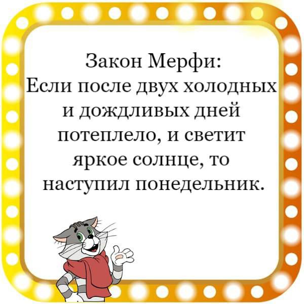 Закон Мерфи Если после двух холодных и дождливых днеи потеплело и светит яркое солнце ТО