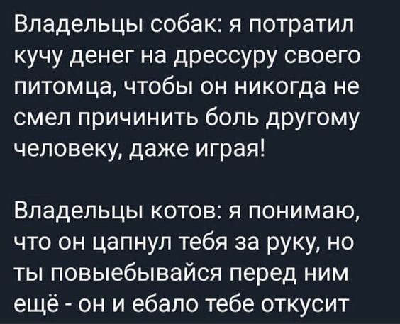Владельцы собак я потратил кучу денег на дрессуру своего питомца чтобы он никогда не смел причинить боль другому человеку даже играя Владельцы котов я понимаю что он цапнуп тебя за руку но ты повыебывайся перед ним ещё он и ебало тебе откусит