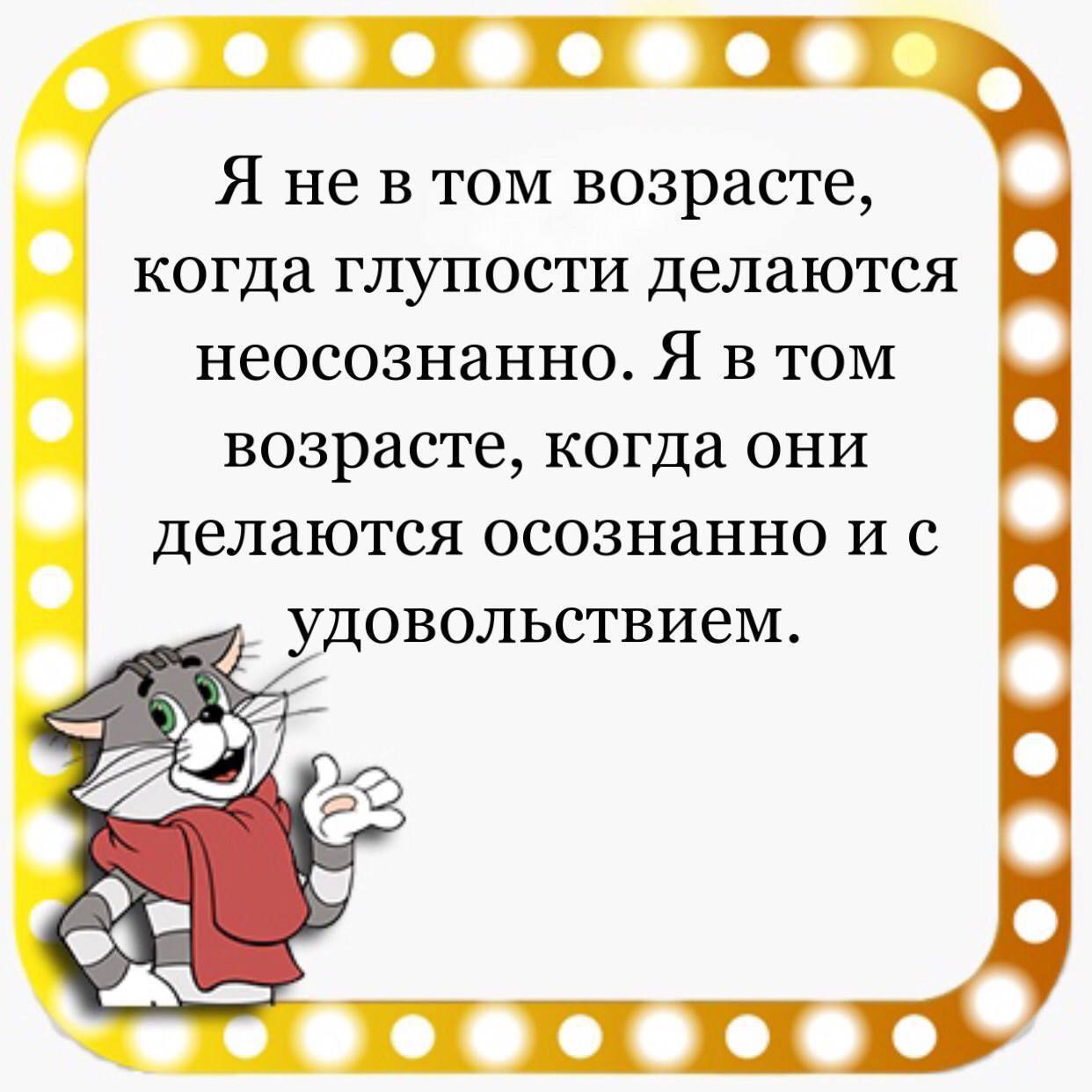 Я не в том возрасте когда глупости делаются неосознанно Я в том возрасте когда они делаются осознанно и с УДОВОЛЬСТВИеМ