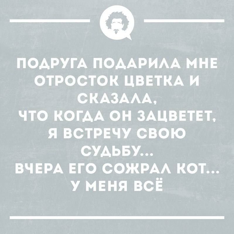 ПОАРУГА ПОААРИАА МНЕ ОТРОСТОК ЦВЕТКА И СКАЗААА ЧТО КОГДА ОН ЗАЦВЕТЕТ Я ВСТРЕЧУ СВОЮ СУАЬБУ ВЧЕРА его сожрм кот у меня всЁ