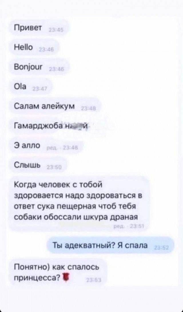 Привет Нейо Вопочг Оа Салам алейкум Гамарджоба на Э алло Слышь Когда человек с тобой здоровается надо здороваться в ответ сука пещерная чтоб тебя собаки обоссали шкура драная Ты адекватный Я спала Понятно как спалось принцесса