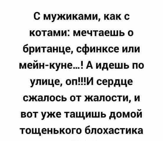 С мужиками как с котами мечтаешь о британце сфинксе или мейн куне А идешь по улице опИ сердце сжалось от жалости и вот уже тащишь домой тощенького блохастика