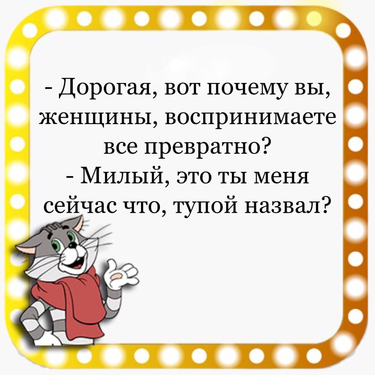 Дорогая вот почему вы женщины воспринимаете все превратно Милый это ты меня сейчас что тупой назвал