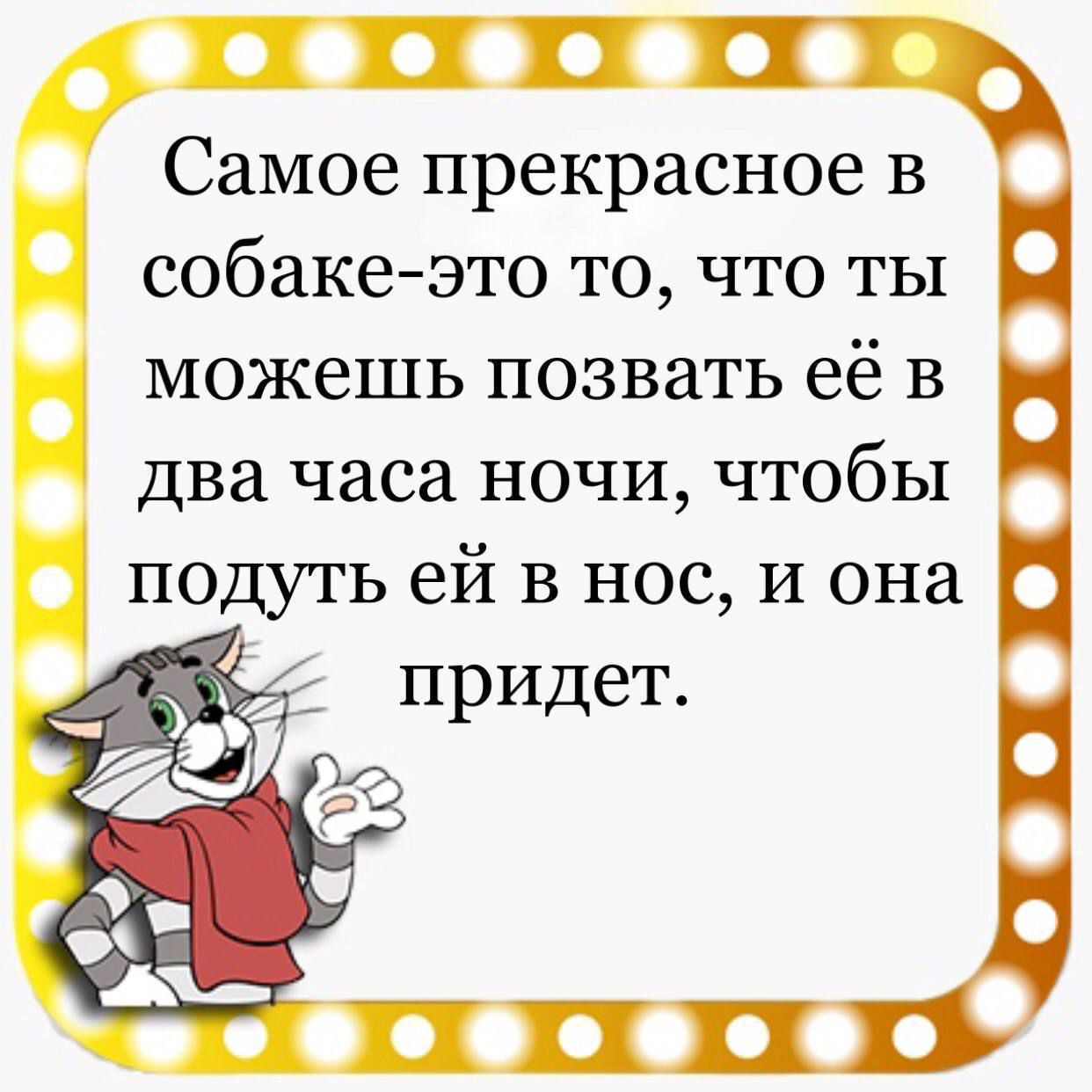 о о ц Самое прекрасное в собаке это то что ты можешь позвать её в два часа ночи чтобы подуть ейв нос и она п