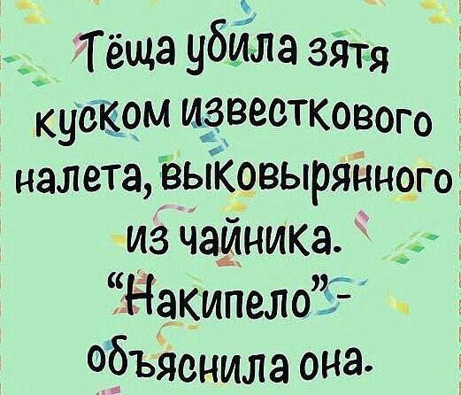 Тёща убила зятя куском ИЁВВОТКОВОГО налета выковырянного из чайника Накипело объяснила она