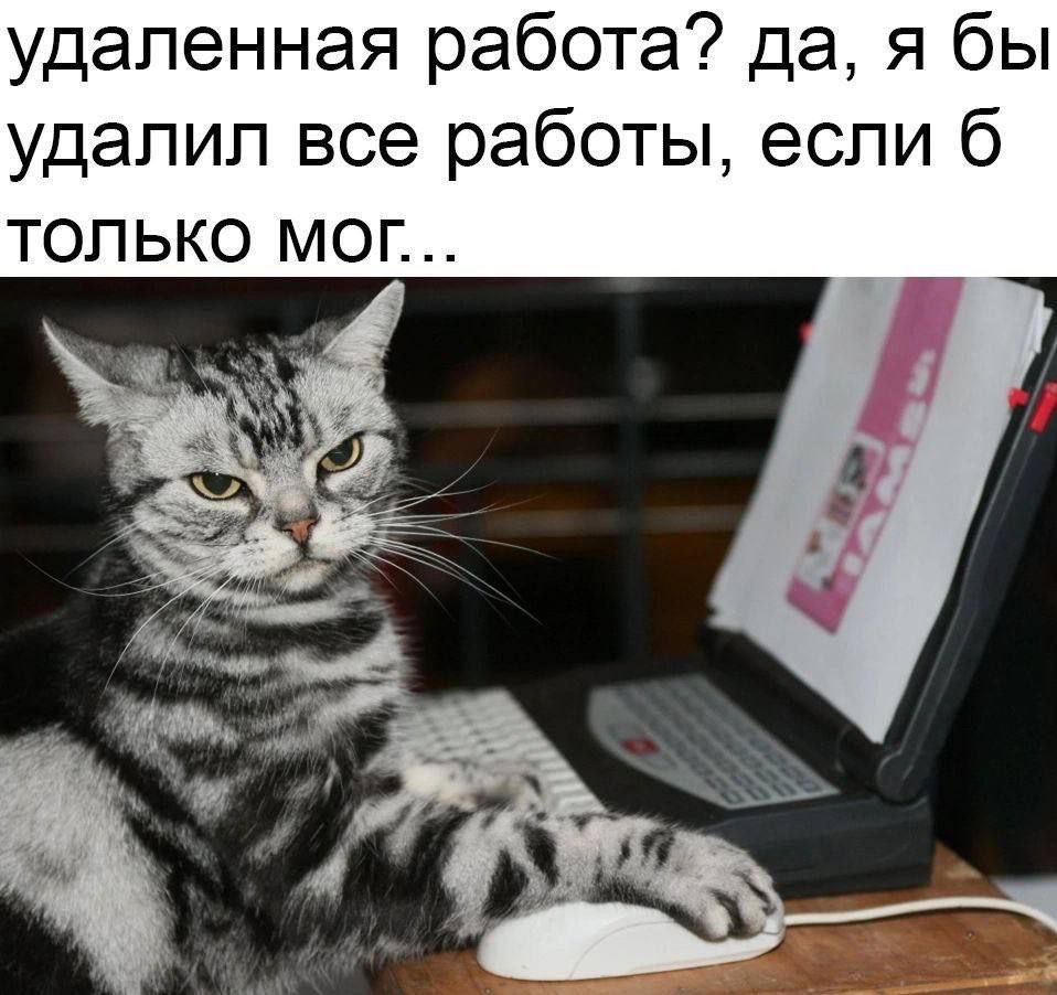 удаленная работа да я бы удалил все работы если б ТОЛЬКО МОог