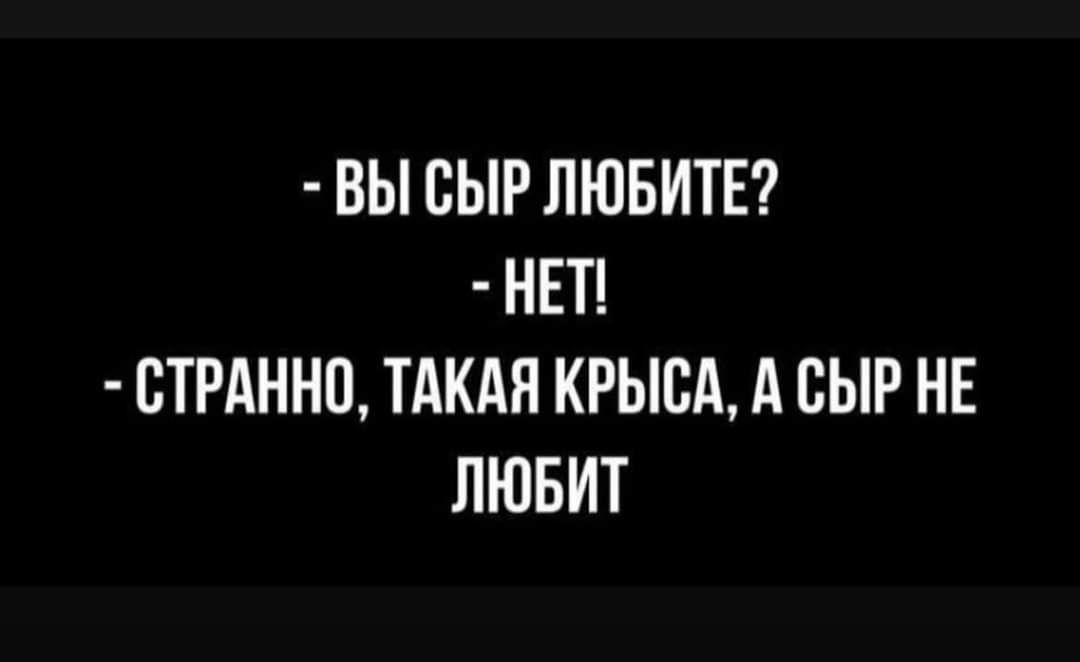 ВЫ СЫР ЛЮБИТЕ НЕТ СТРАННО ТАКАЯ КРЫСА А СЫР НЕ ЛЮБИТ