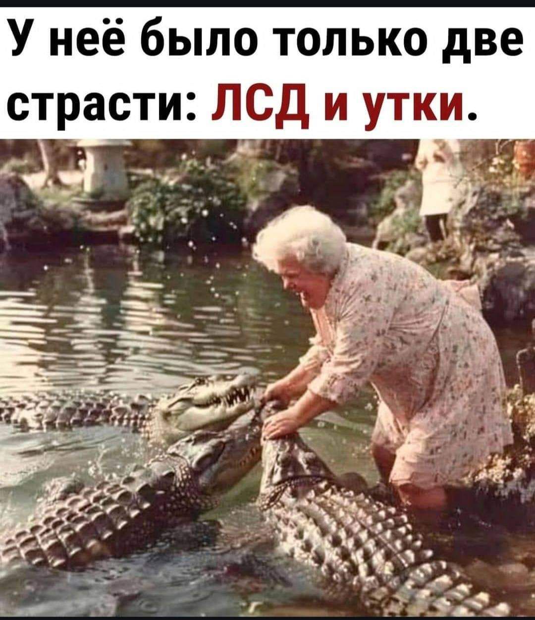 У неё было только две страсти ЛСД и утки