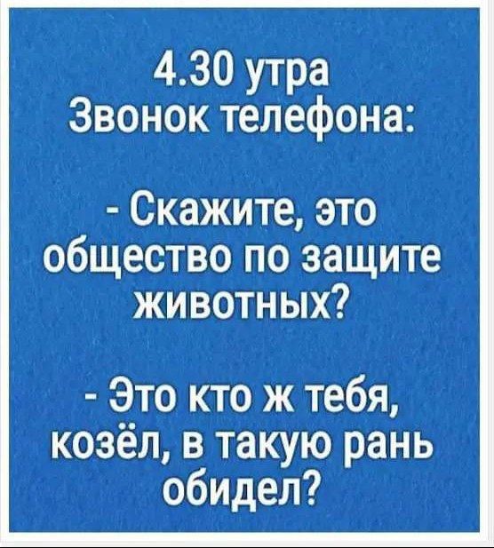 430 утра Звонок телефона Скажите это общество по защите ЖИВОоТНЫх Это кто ж тебя козёл в такую рань обидел