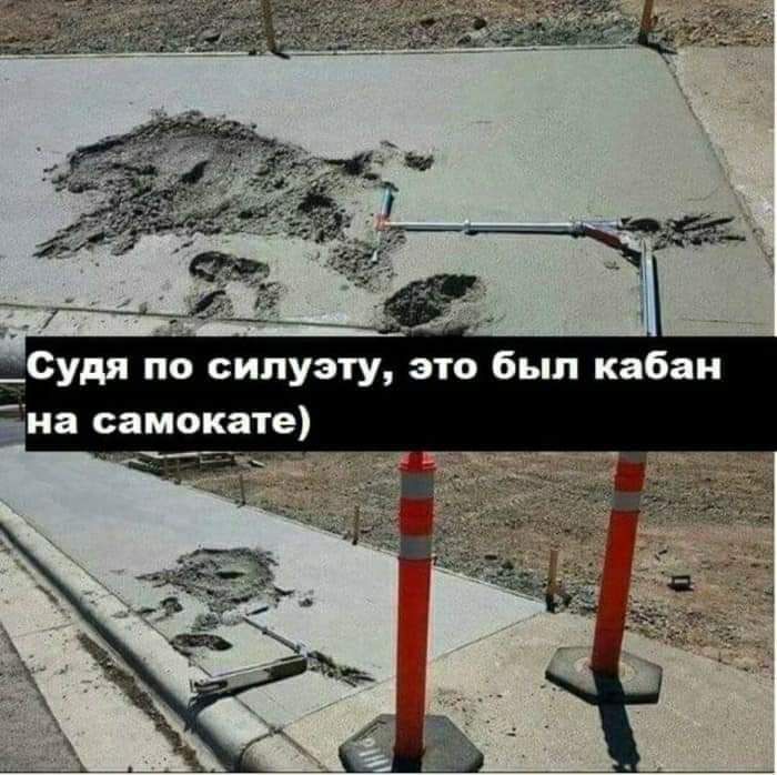 Судя по силуэту это был кабан на самокате