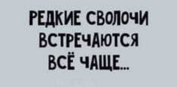 РЕДКИЕ СВОЛОЧИ ВСТРЕЧАЮТСЯ ВСЁ ЧАЩЕ