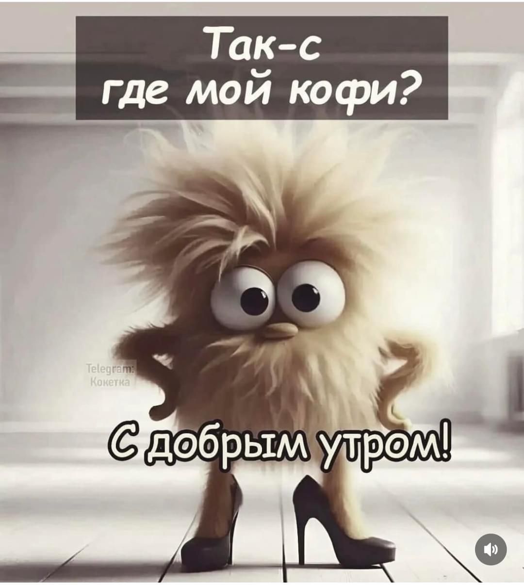 Так с где мой кофи Г Р