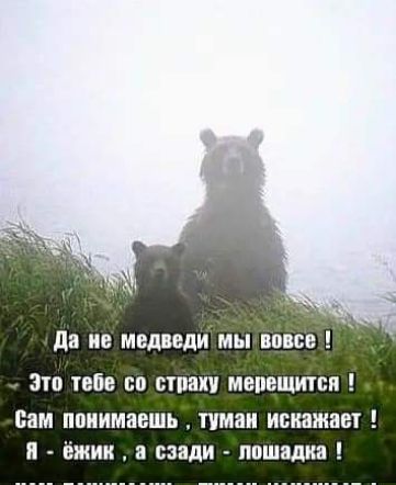 Да не медведи мы вовсе ы Это тебе со страху мерещится Сам понимаешь туман искажает Я ёжик а сзади лошадка