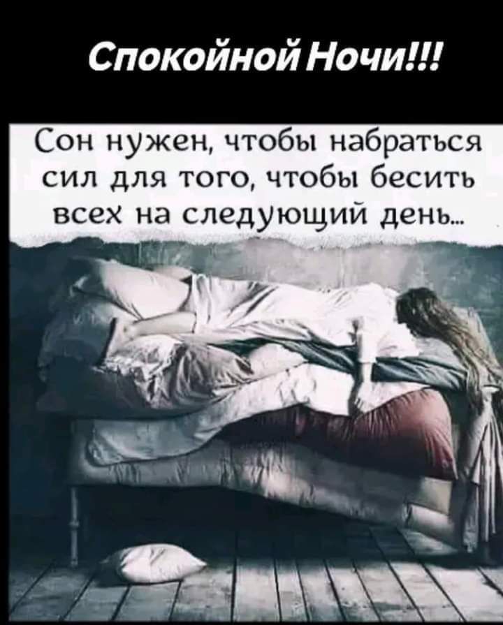 Спокойной Ночи Сон нужен чтобы набраться сил для того чтобы бесить всех на следующий день онтоаь