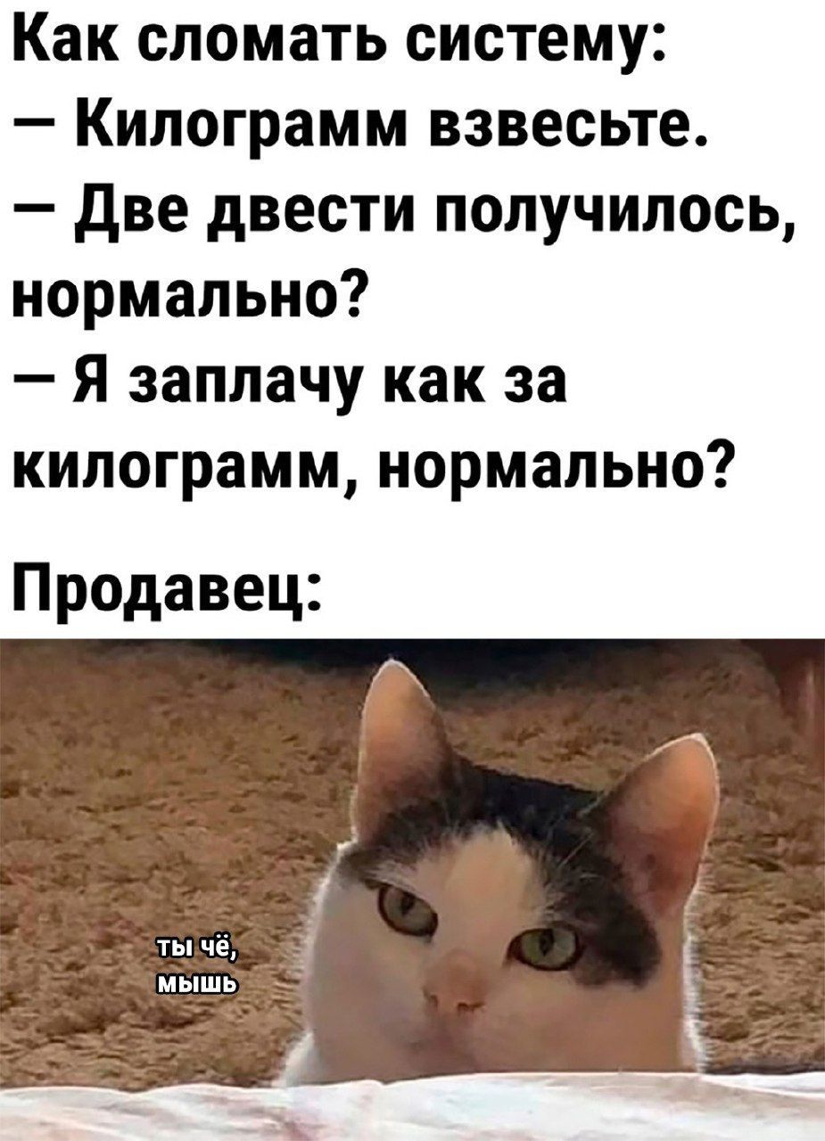 Как сломать систему Килограмм взвесьте Две двести получилось нормально Я заплачу как за килограмм нормально Продавец