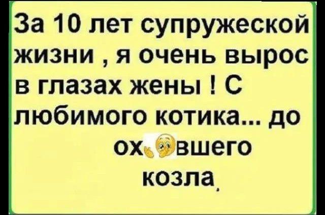 За 10 лет супружеской жизни я очень вырос в глазах жены С любимого котика до охвшего козла