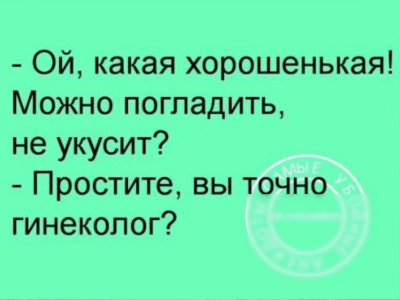 ОЙ какая хорошенькая Можно погладить не укусит Простите вы точно гинеколог